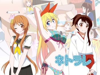 Netorare cover