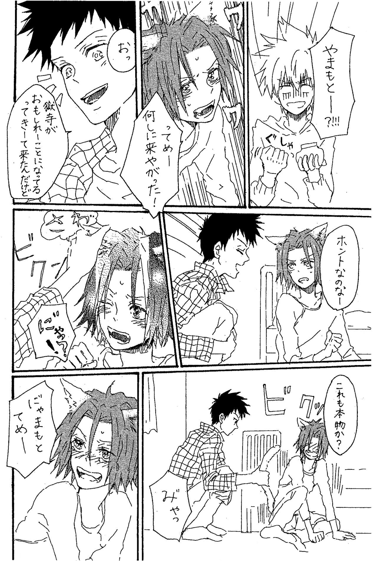 scusi page 7 full