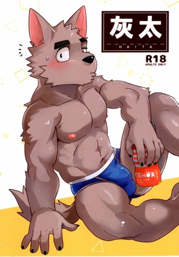 Haita cover