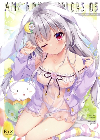 AME NOCHI COLORS 05 cover