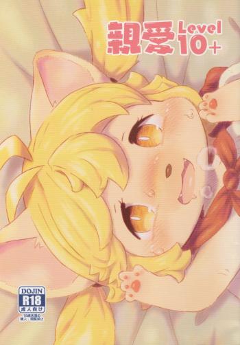 Shinai Level 10+ cover