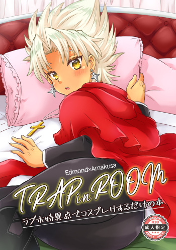 TRAP in ROOM cover