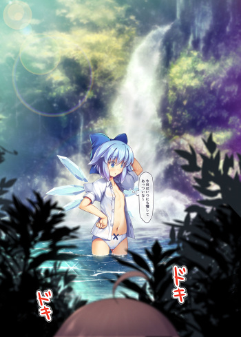 Skirt Hoshoku cover