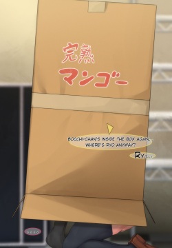 Bocchi & Rio in a box