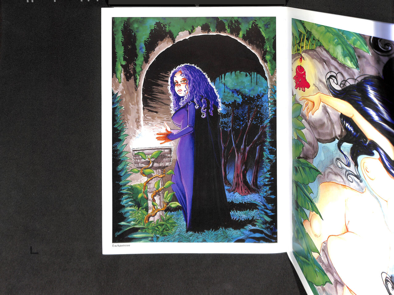 The Erotic Elfin Art of Nymphettes Volume One page 10 full