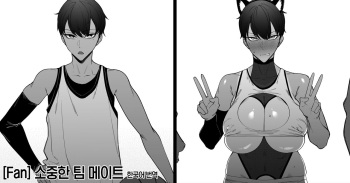 Taisetsuna Chiimumeito 1-3 소중한 팀 메이트 1~3 cover