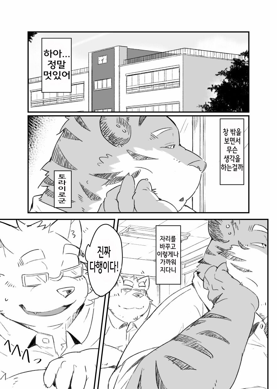 Kocchi Muite yo Torakado-kun | 여기 보세요 토라이로 군 page 3 full