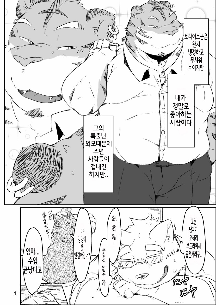 Kocchi Muite yo Torakado-kun | 여기 보세요 토라이로 군 page 4 full