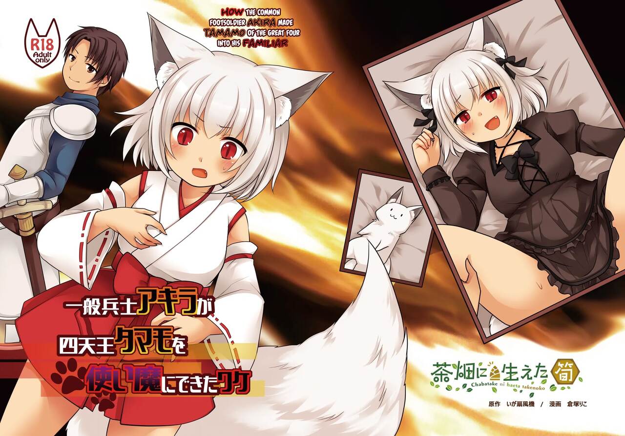 Ippan Heishi Akira ga Shitennou Tamamo wo Tsukaima ni Dekita Wake page 1 full