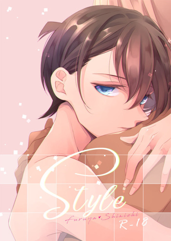Style cover