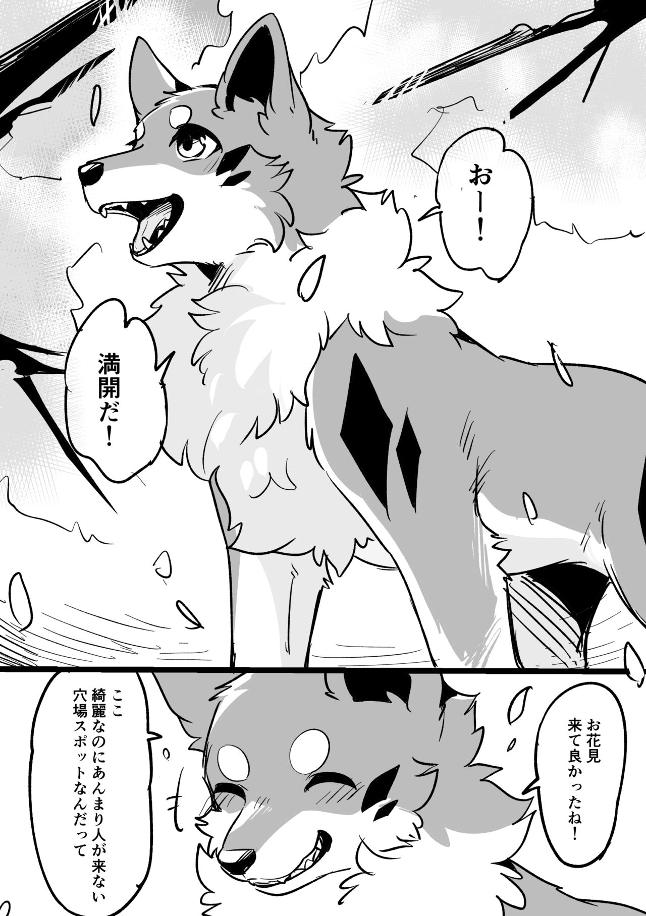 お花見穴場スポット page 1 full