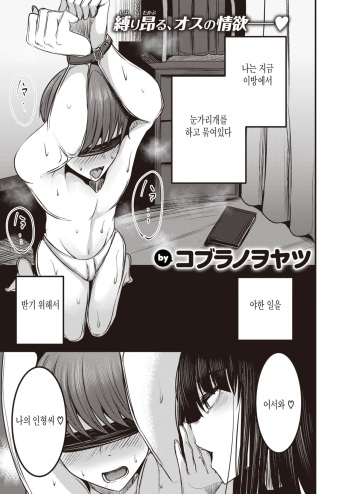 Kannou-san wa Sagashiteru. cover
