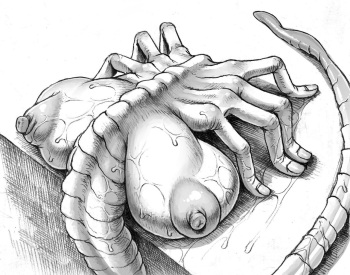 Crotch Hugger cover