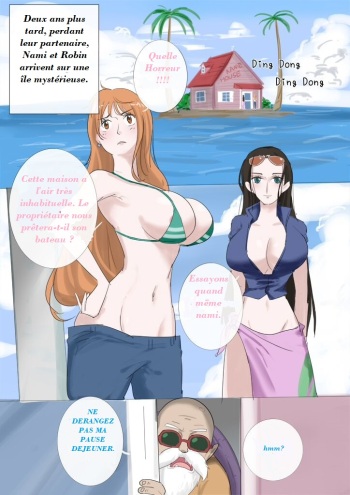 The Sexual Life Of The Turtle Hermit  french cover