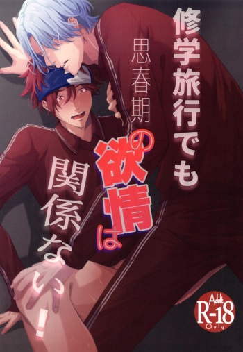 Shūgakuryokō demo shishunki no yokujō wa kankeinai! cover