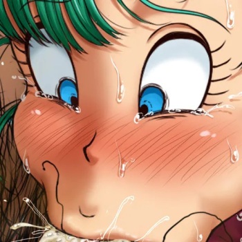 Bulma &amp; Bacterian Noukou Fella cover