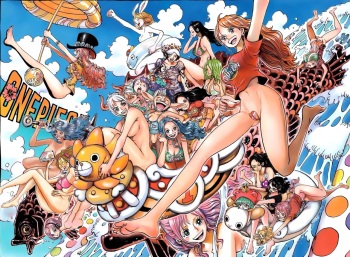 One piece 15 cover