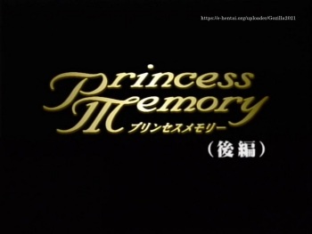 Princess Memory cover