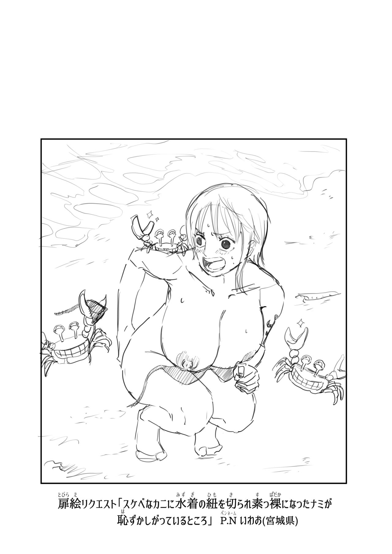 Nami Manga + various bonus page 9 full