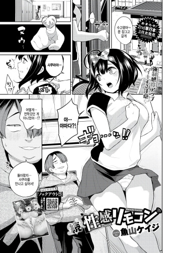 Zoku Seikan RemoCon cover