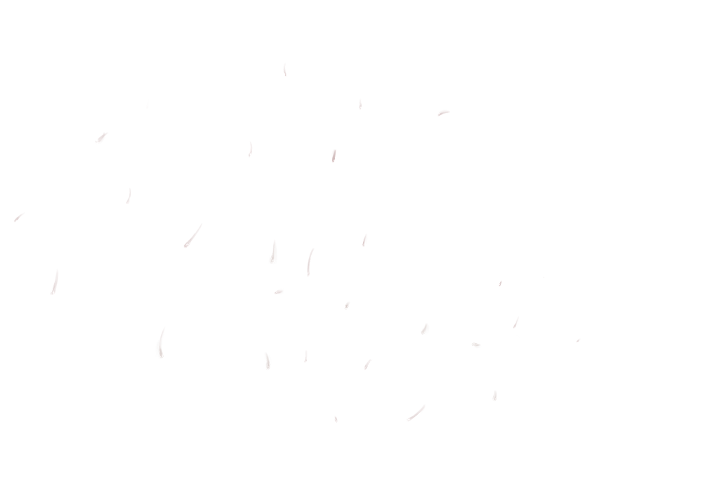 妻奪りの宿 page 8 full