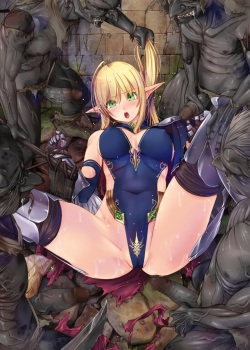 ゴブリンアタックよりレオタードエルフ騎士 1~3