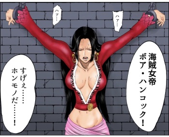 tổng hợp one piece cover