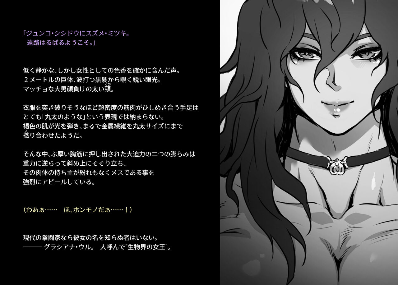 norubon box 1 page 3 full