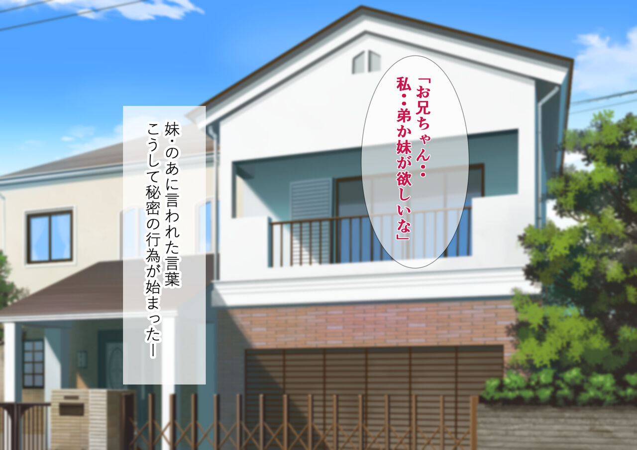 妹と内緒の子作り生活。排卵日は中出しだよ page 3 full