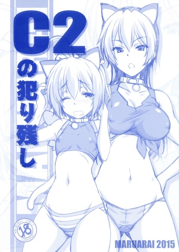 C2 no Yarinokoshi cover