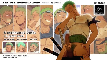Roronoa Zoro cover