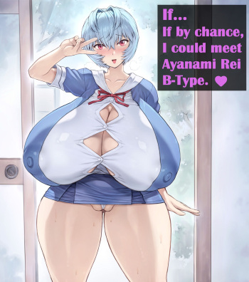 IF... If by chance I could meet with Ayanami Rei B-Type. cover