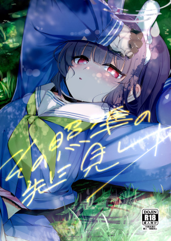 Sono Shoujun no Saki ni Miyu cover