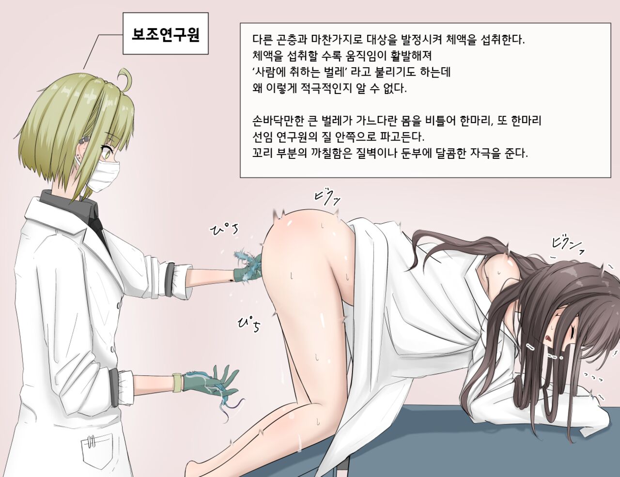 Mushi Research Report No.11 page 3 full