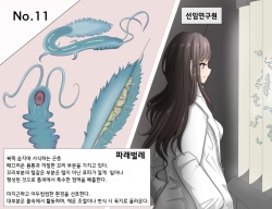 Mushi Research Report No.11