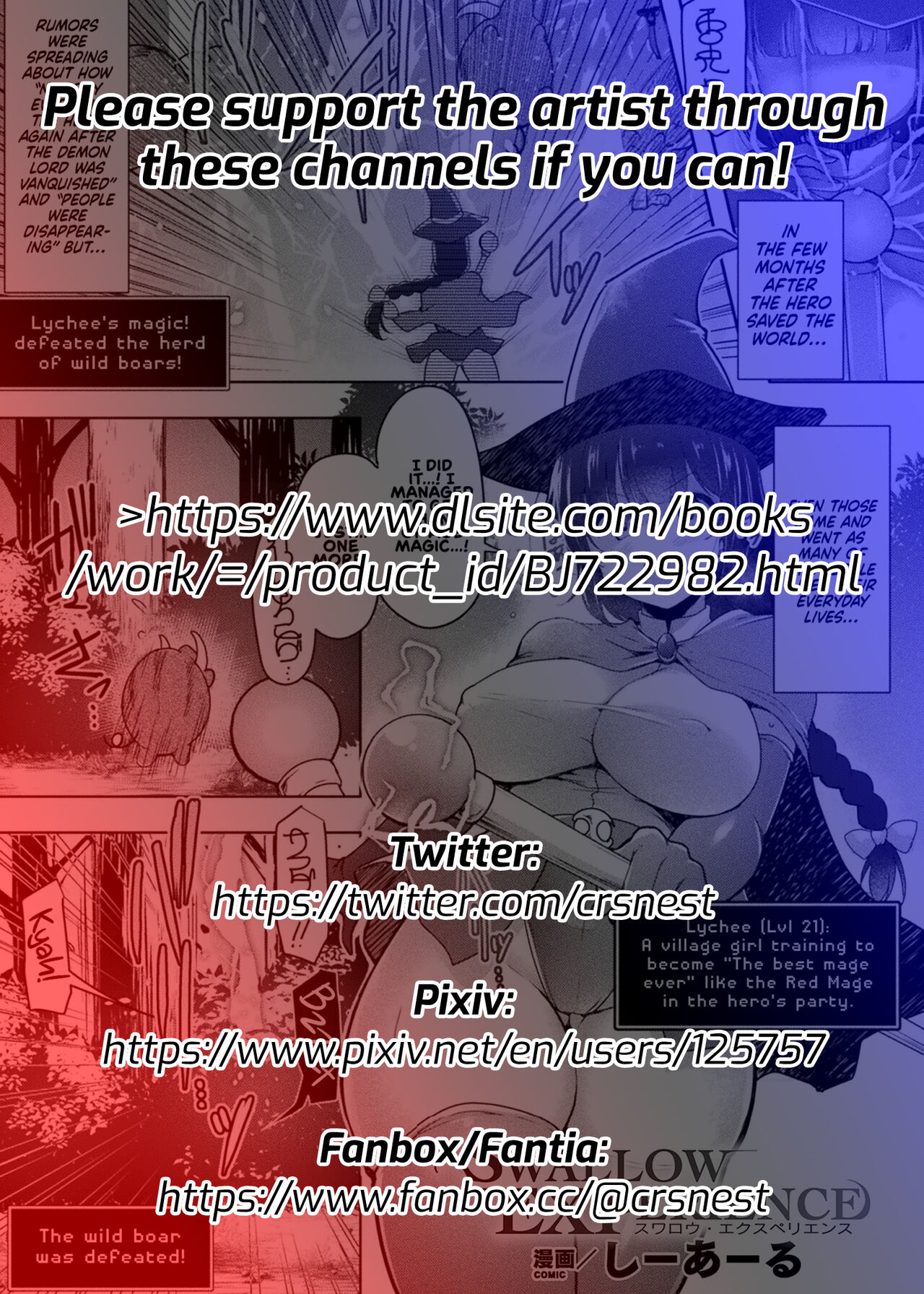 Swallow Experience page 2 full
