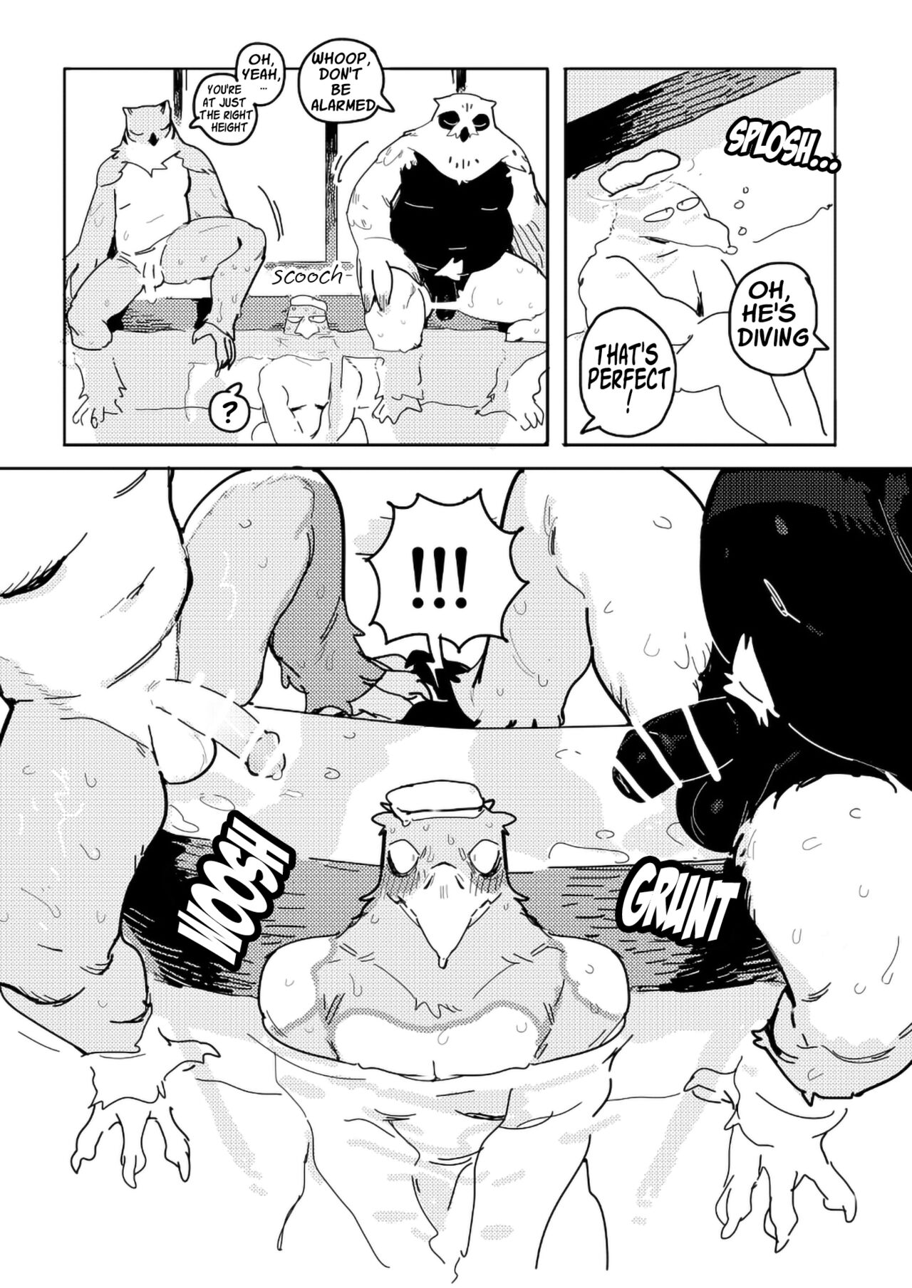 White-Tailed Eagle and Owls page 7 full