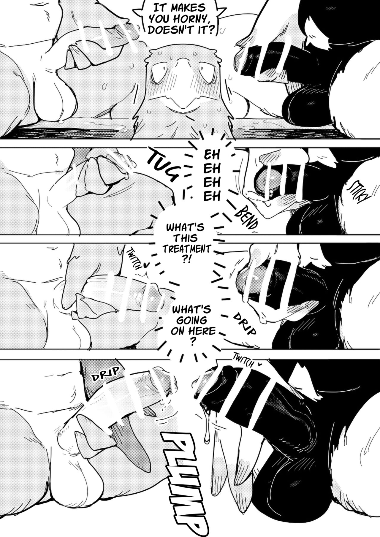 White-Tailed Eagle and Owls page 9 full