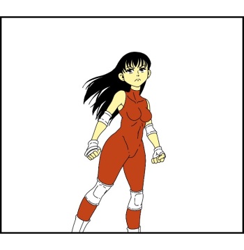Duel cover