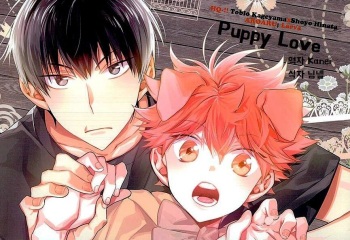 Haikyuu!! dj – Puppy love cover