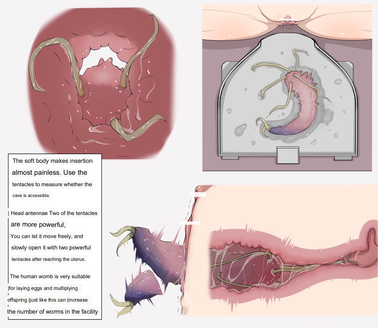 Mushi Research Report No. 1 page 3 full