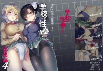 Gakkou de Seishun! Soushuuhen 4 cover