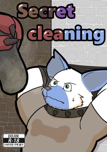 Secret Cleaning cover
