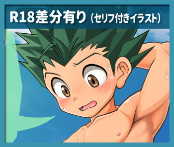 Hunter x Hunter yori Gon / July ver. cover
