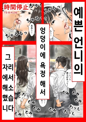 時間停止 キレイなオネーサンのお尻に欲情したのでその場で解消します | 시간정지 예쁜 언니의 엉덩이에 욕정 해서 그 자리에서 해소했습니다 cover