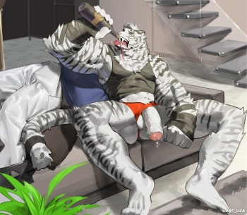 furry artworks cover