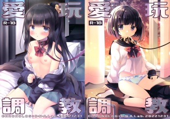 Aigan Choukyou cover