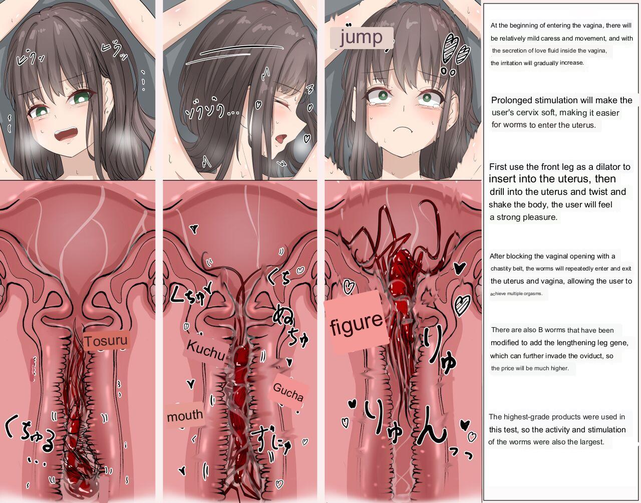 Mushi Research Report No. 8 page 4 full