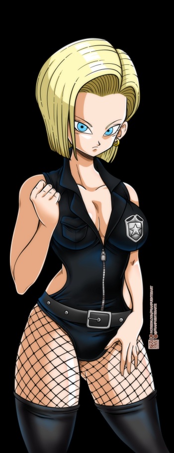 DB Police cover