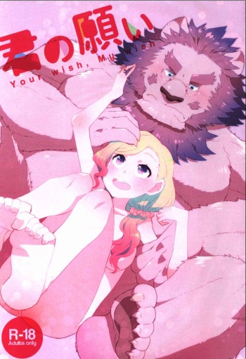 Kimi no Negai - Your wish, My wish cover